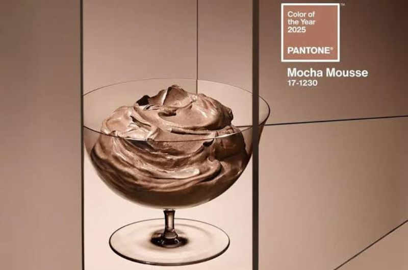 2025 Pantone Rengi .png