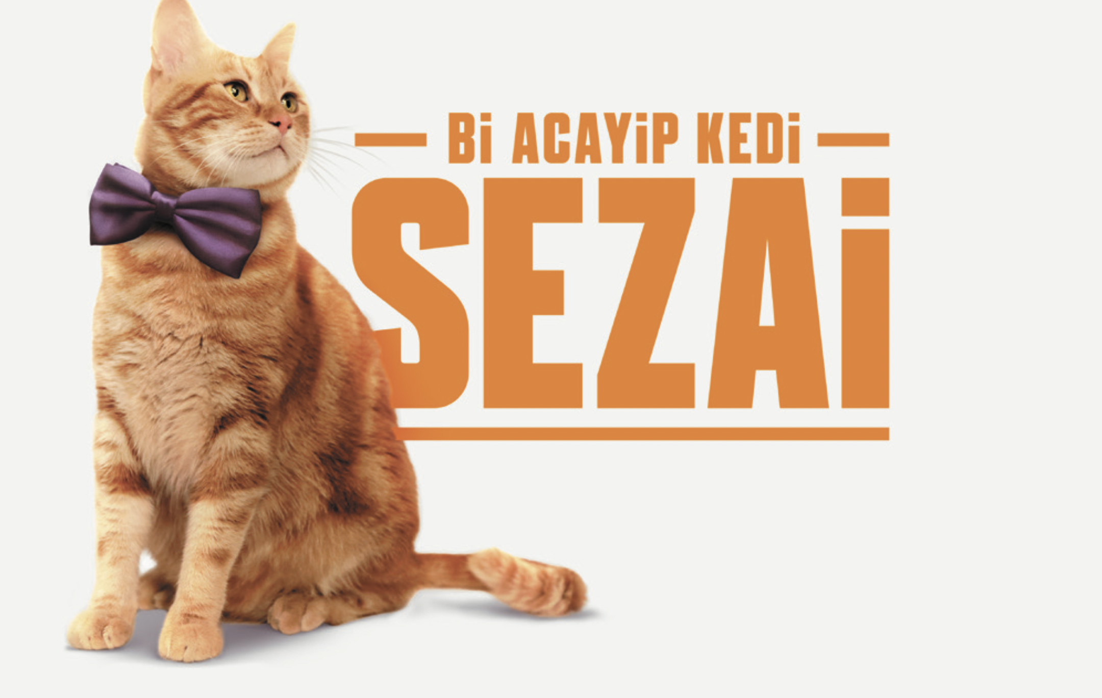 bi-acayip-kedi-sezai.png