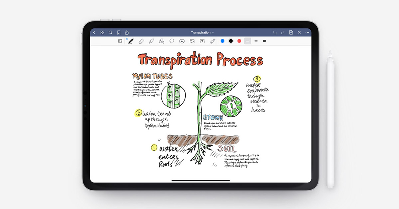 goodnotes-5