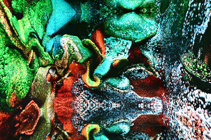 inner-portrait.jpg