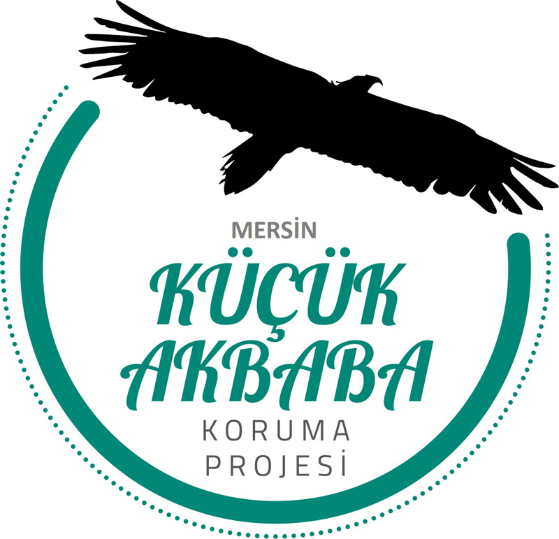 mersin-kucuk-akbaba-koruma-projesi-1.jpg