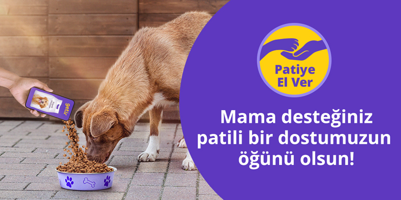 patiye-el-ver-getir-haytap.jpg