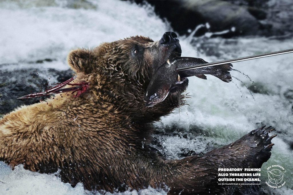 BEAR-HARPOON