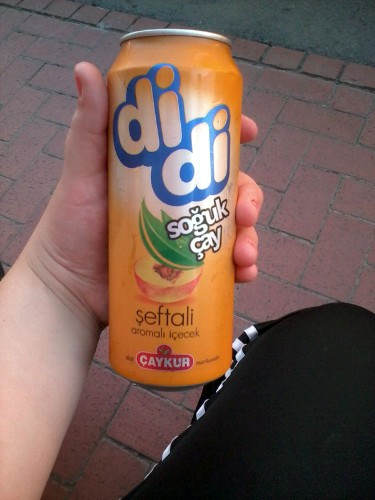 didi6