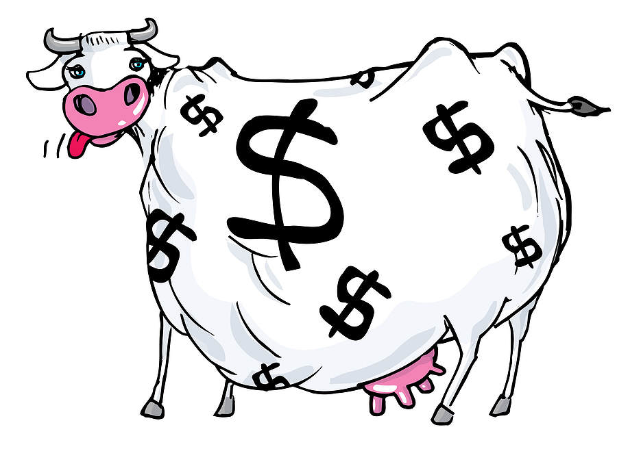 cash-cow-investment