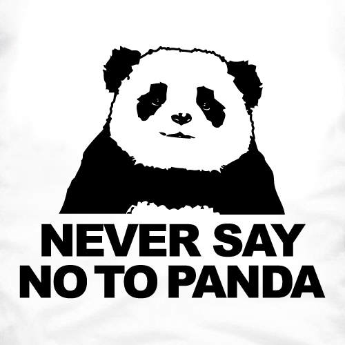 never-say-no-to-panda1