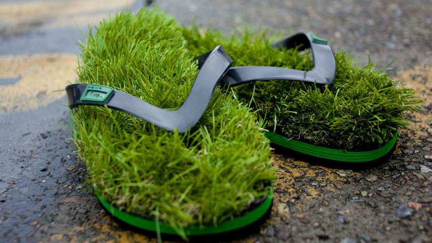 flipflops