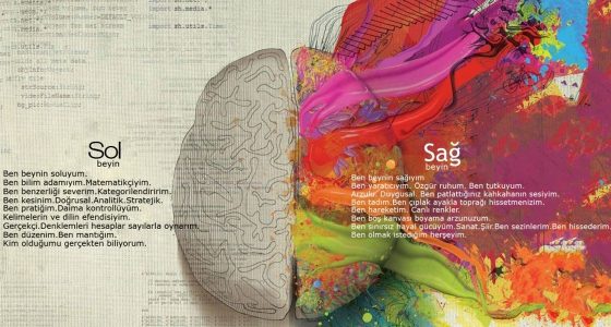 51b5da0c-8d06-4ed9-867c-800bca04744e