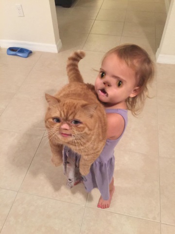 Face-Swap