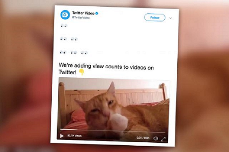 Twitter video view count