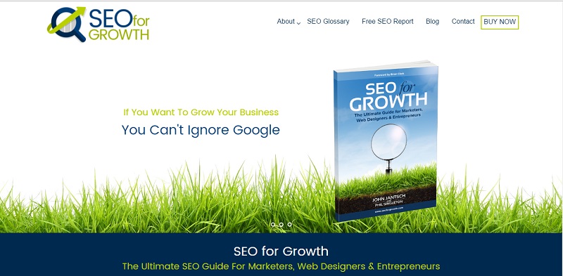 SEO for growth