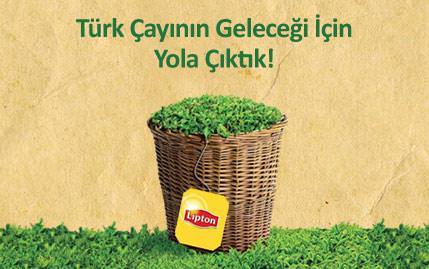 lipton